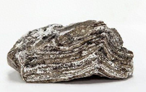 人参药材厂家排名前十(人参类药材价格)插图3 人参药材厂家排名前十(人参类药材价格)插图3