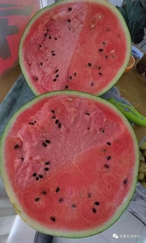 西瓜品种大小十大排行榜(露天西瓜哪个品种好)插图12