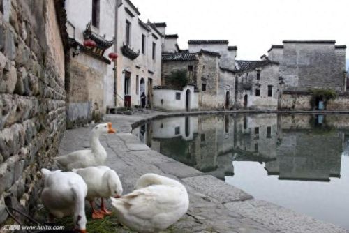 全国十大风景山庄排行榜(中国十大著名山庄)插图16