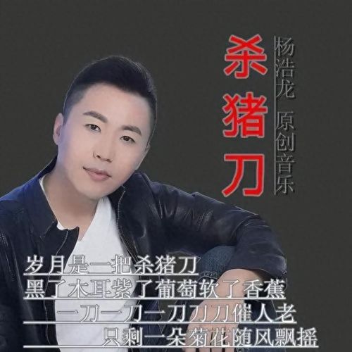 中国十大恶心的歌曲排行榜(十大最好听的催泪歌曲)插图2