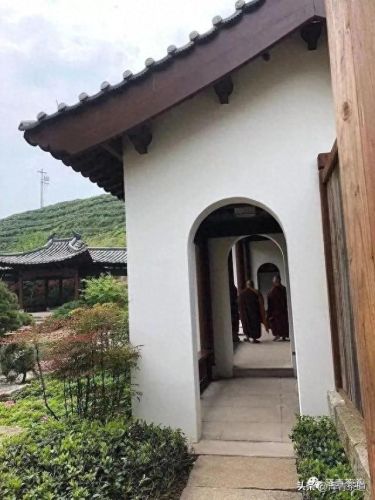 茶经排名前十的茶(十三种满分好茶)插图56 茶经排名前十的茶(十三种满分好茶)插图56