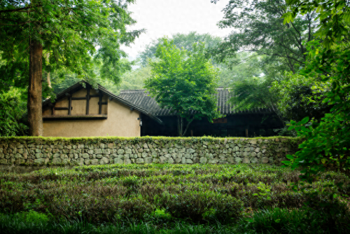 富阳避暑酒店排名前十(富阳著名酒店排行榜)插图19