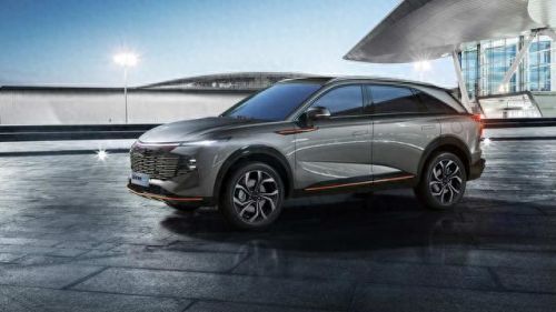 国产十大最不好的车排行榜(国产十大皮卡排行榜)插图4