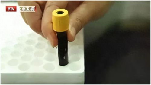 十大胆固醇高食物排行榜(十大低胆固醇食物排名)插图