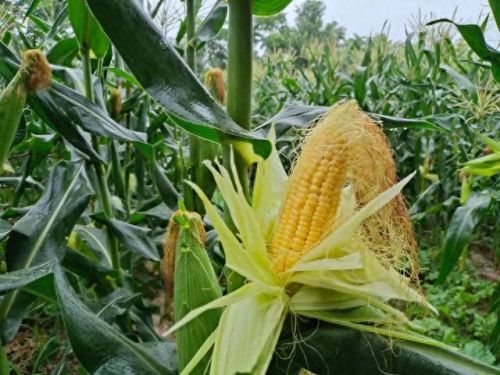 孝南区十大酒店排行榜图片(绍兴十大高档酒店)插图13 孝南区十大酒店排行榜图片(绍兴十大高档酒店)插图13