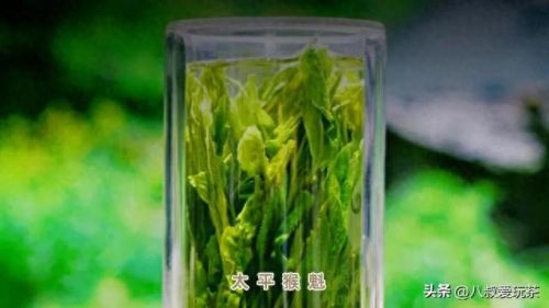 中国美容茶十大品牌排行榜(美容十大加盟品牌)插图2 中国美容茶十大品牌排行榜(美容十大加盟品牌)插图2