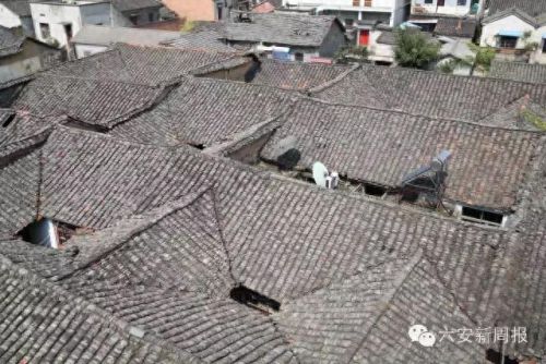 江北旅游村庄排名前十(宁波江北洪塘最大的村庄)插图40 江北旅游村庄排名前十(宁波江北洪塘最大的村庄)插图40