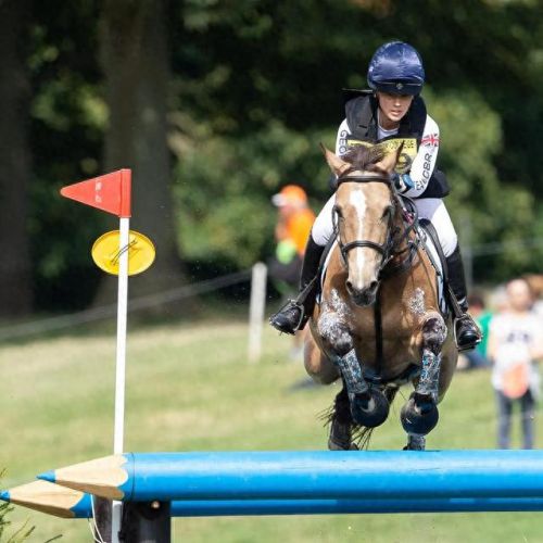 马术运动名校排名前十(马术专业大学排名)插图12 马术运动名校排名前十(马术专业大学排名)插图12