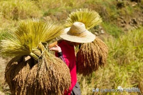 柳州十大摄影师排行榜图片(柳州全家福摄影前十名)插图23