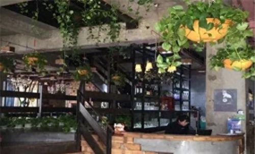 中国十大厨师排行榜6(中国目前厨师排行榜)插图