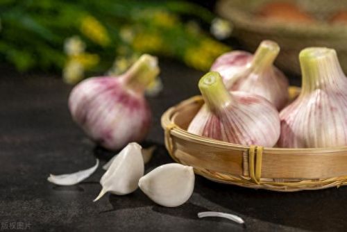 益生菌食物的十大排行榜(益生菌粉的十大排行榜)插图9