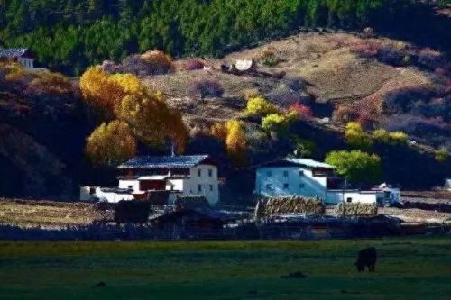 新疆塔城酒店排名前十(全国连锁酒店排名)插图22