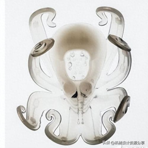 十大仿生机器人排行榜(仿生机器人免费观看)插图2