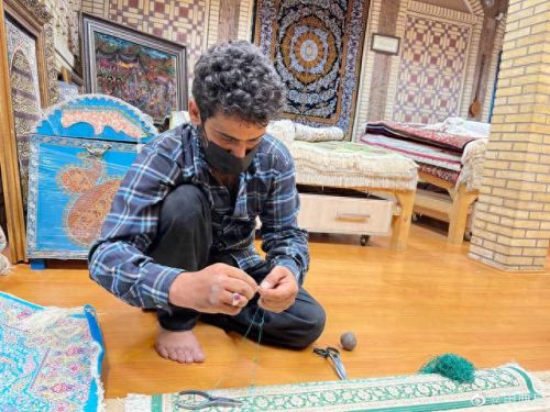 伊朗蚕丝产量排名前十(蚕丝最贵的品种)插图19