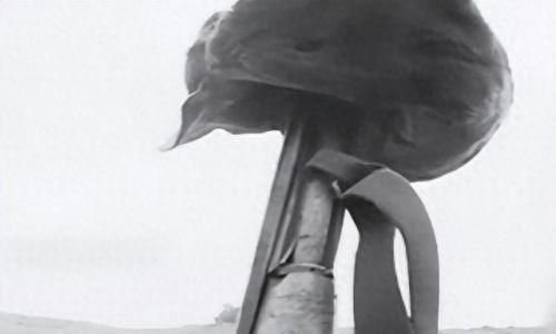 排名前十狙击手(中国狙击手十大排名)插图15