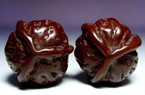 文玩核挑十大排行榜(四大名核哪四种)插图