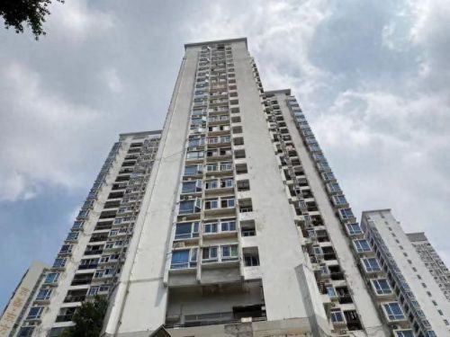 深圳小区数量排名前十(深圳十大顶级小区排名)插图3