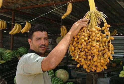 十大不值钱水果排行榜(最补钙的十大水果排名)插图1 十大不值钱水果排行榜(最补钙的十大水果排名)插图1