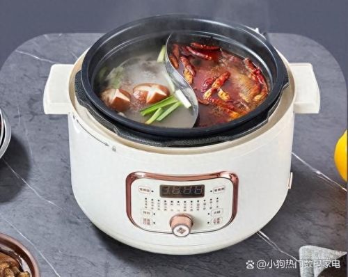 中国电压锅十大品牌排行榜(什么牌子的电压锅煮饭好吃)插图3 中国电压锅十大品牌排行榜(什么牌子的电压锅煮饭好吃)插图3