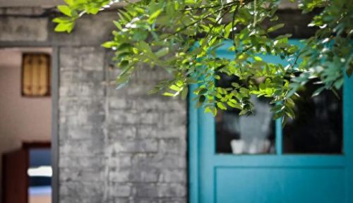 临沂十大面条店排行榜图片(临沂面条)插图8