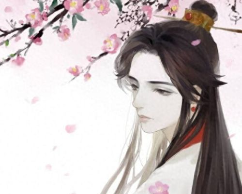 十大中医穿越小说排行榜(十大完结巅峰小说中医)插图2