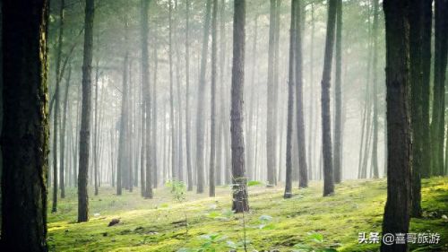 东兴景点大全排名前十(东兴到德天景点自驾游)