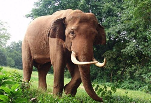 智商排名前十的十位(达斡尔族人智商排名)插图7 智商排名前十的十位(达斡尔族人智商排名)插图7