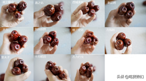 和田大枣品种排名前十(和田特级大枣)插图21 和田大枣品种排名前十(和田特级大枣)插图21