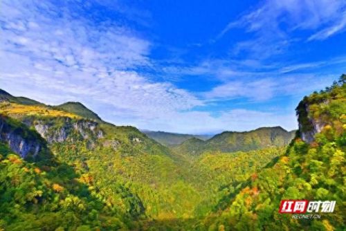 沅江订婚酒店排名前十(呼市订婚酒店排名)插图1