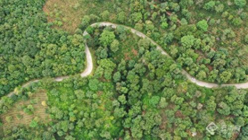 澜沧小众景点排名前十(澜沧东回景点)插图2 澜沧小众景点排名前十(澜沧东回景点)插图2