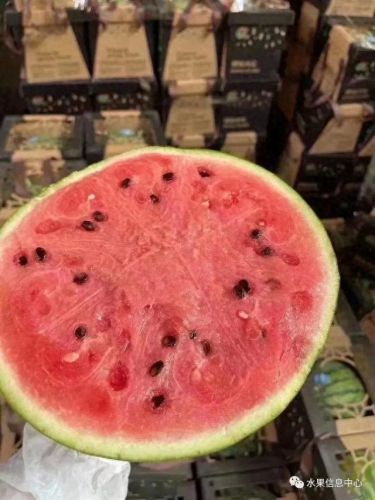 西瓜品种大小十大排行榜(露天西瓜哪个品种好)插图6