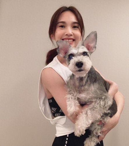 娱乐圈十大宠物排行榜最新(北京圈内人养宠物的明星)插图2