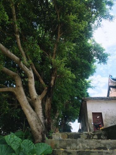 惠城区寺庙排名前十(广东十大名寺)插图8 惠城区寺庙排名前十(广东十大名寺)插图8