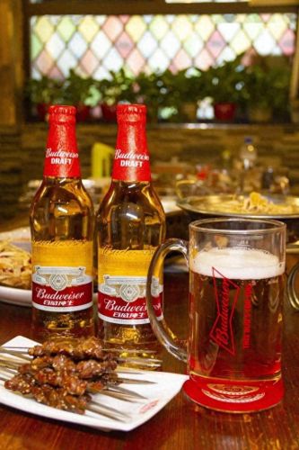 国产麦克风十大品牌排行榜(麦克风品牌十大排名)插图2