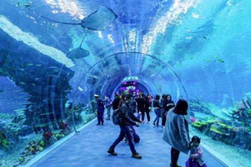 上海游玩景区十大排行榜(上海玩一天去哪里)