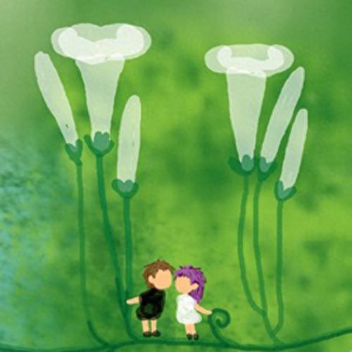 大提琴十大排行榜(世界排名前十大提琴)