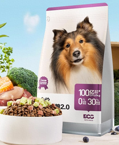 十大最友好的狗排行榜国产(十大最便宜的狗排名榜)插图8