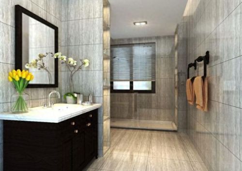 十大致癌卫生间排行榜(主卧卫生间十大禁忌)插图4