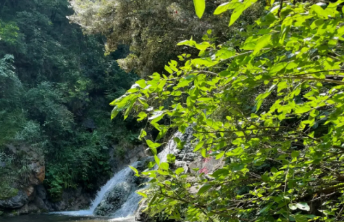 郑州水边餐厅排名前十(费县水边餐厅)插图7 郑州水边餐厅排名前十(费县水边餐厅)插图7