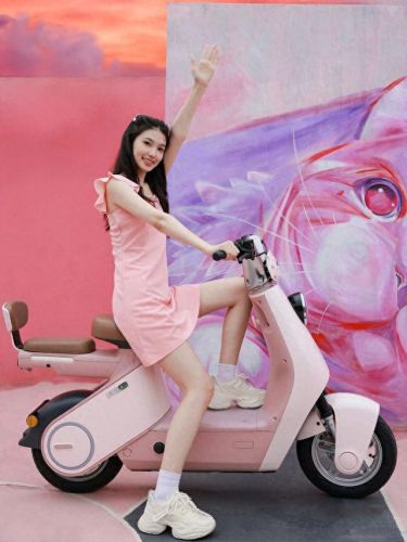 十大轻骑电动车品牌排行榜(轻骑雷舰电动车多少钱)插图4 十大轻骑电动车品牌排行榜(轻骑雷舰电动车多少钱)插图4