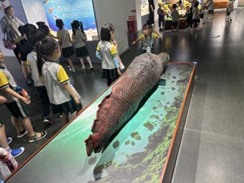 郑州水边餐厅排名前十(费县水边餐厅)插图23 郑州水边餐厅排名前十(费县水边餐厅)插图23