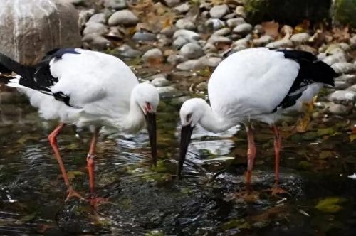 南沙亲子乐园十大排行榜(南沙最大的儿童乐园)插图5