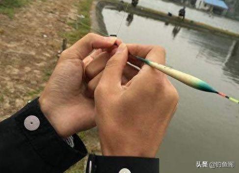 鱼漂品牌十大排行榜芦苇(黑坑芦苇鱼漂推荐)插图3 鱼漂品牌十大排行榜芦苇(黑坑芦苇鱼漂推荐)插图3
