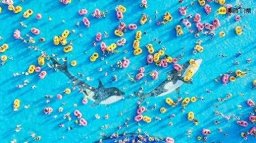 上海周边漂流排名前十(上海必去十大免费景点)插图36 上海周边漂流排名前十(上海必去十大免费景点)插图36