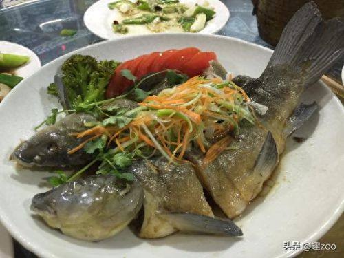 求十大最好吃的鱼排行榜(十大群游最好的鱼)