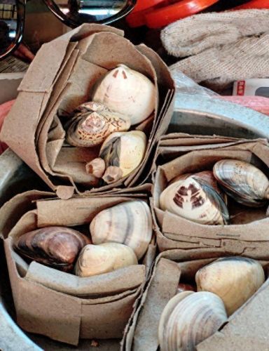 十大身体磨砂膏排行榜国产(国产口碑最好十大护肤品)插图1