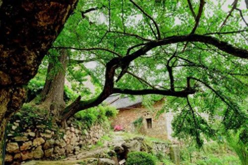 空调贵州销量排名前十(2022空调销量排行榜)插图33