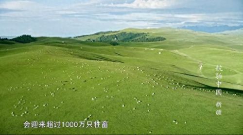 儿童十大纪录片电影排行榜(大凉山贫困儿童纪录片)插图15