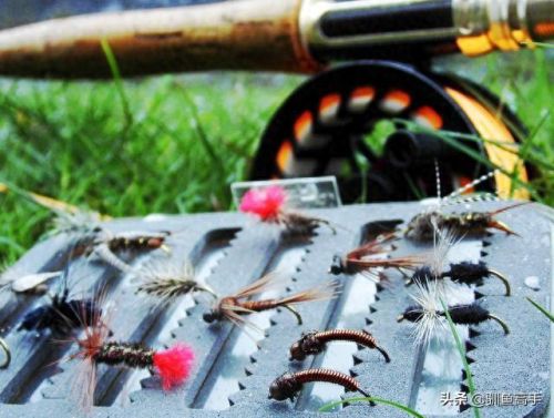 山西钓鱼品种排名前十(山西运城钓鱼的水库)插图9 山西钓鱼品种排名前十(山西运城钓鱼的水库)插图9