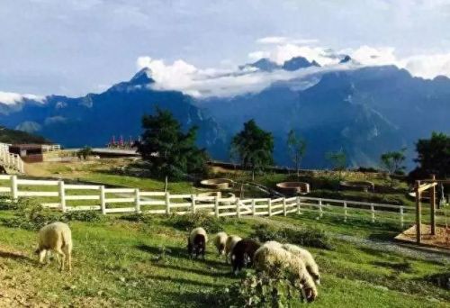 新疆塔城酒店排名前十(全国连锁酒店排名)插图31